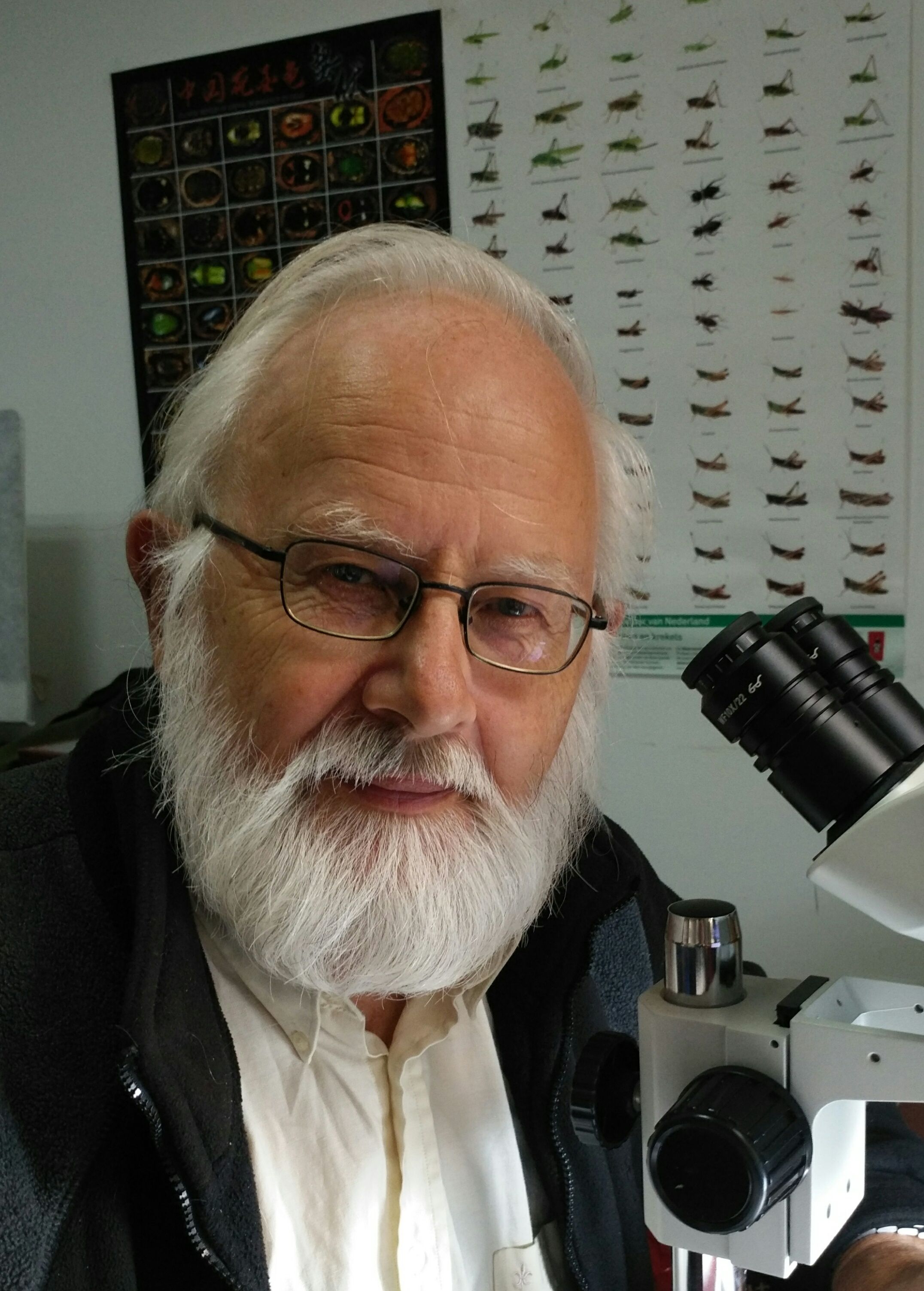 乐投在线创新论坛第八百零九讲暨校庆117周年学术讲座：Parasite rex: the unknown diversity of parasitoid wasps