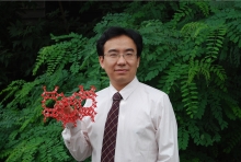 乐投在线创新论坛第一千二百七十三讲暨120周年校庆年系列活动： Unexpected slow diffusion in hierarchical porous materials with combined surface and configurational diffusion   