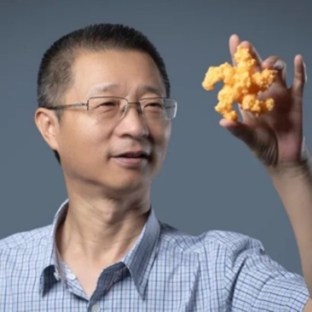乐投在线创新论坛第一千六百二十六讲：植物的免疫机制